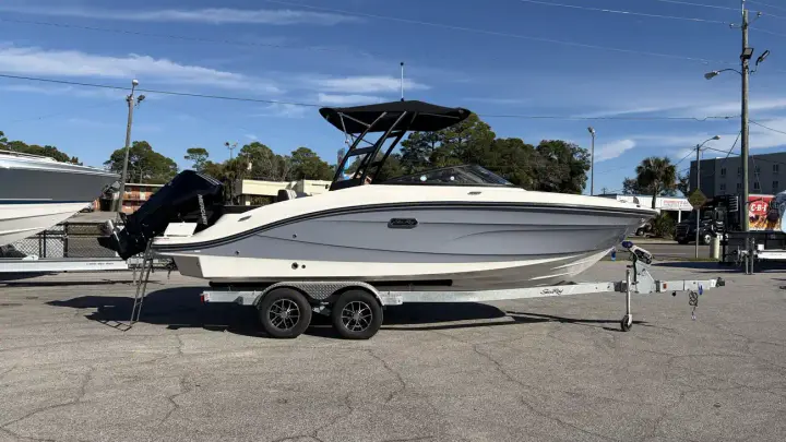 Sea Ray SPX 210 Hors-Bord