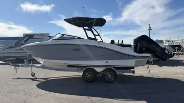 Thumbnail von Sea Ray SPX 210 Dıştan Takma Motor