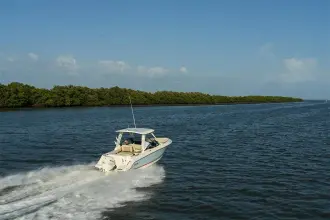 Thumbnail von Boston Whaler 240 Vantage