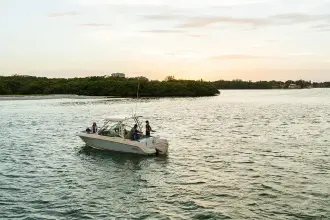 Thumbnail von Boston Whaler 240 Vantage