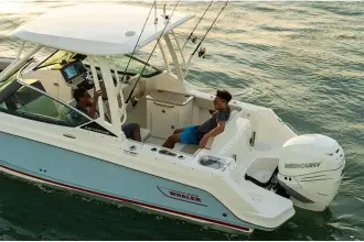 Thumbnail von Boston Whaler 240 Vantage