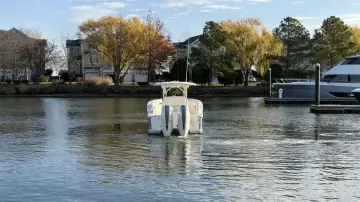 Thumbnail von Scout 330 LXF