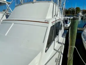 Thumbnail von Post 46 Giubileo