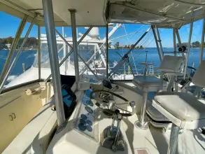 Thumbnail von Post 46 Giubileo