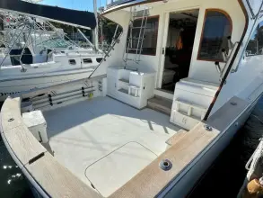 Thumbnail von Post 46 Giubileo