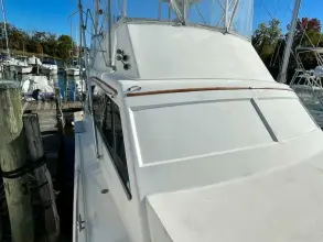 Thumbnail von Post 46 Giubileo