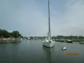 Thumbnail von Freedom 40-40 Shari