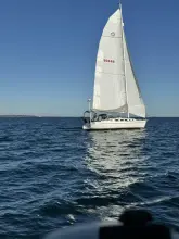 Thumbnail von Freedom 40-40 Shari