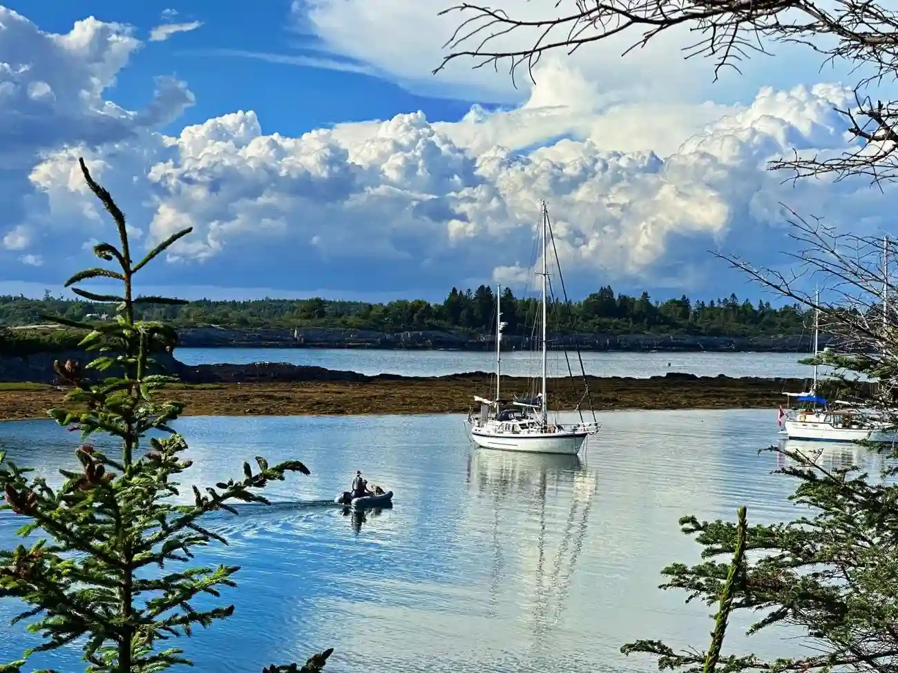 Thumbnail von Nauticat Pilothouse Aurora