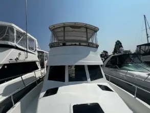 Thumbnail von Mainship 390 Donary