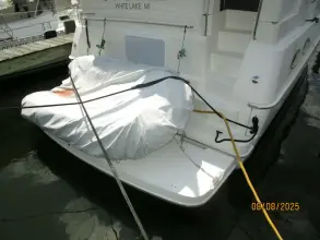 Thumbnail von Silverton 392 Motor Yat Stulie