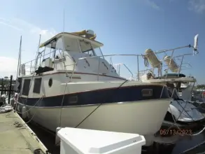 Thumbnail von Kadey Krogen 36 Manatee Eltinar