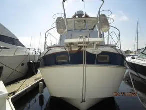 Thumbnail von Kadey Krogen 36 Manatee Eltinar