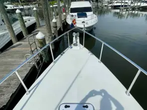 Thumbnail von Great Harbour TT35 Dilligaf