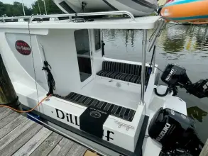 Thumbnail von Great Harbour TT35 Dilligaf