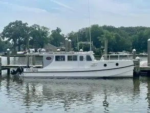 Thumbnail von Great Harbour TT35 Dilligaf