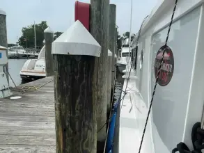 Thumbnail von Great Harbour TT35 Dilligaf