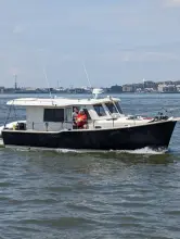 Thumbnail von Mainship Hardtop Blue Heron