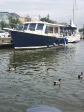 Thumbnail von Mainship Hardtop Blue Heron