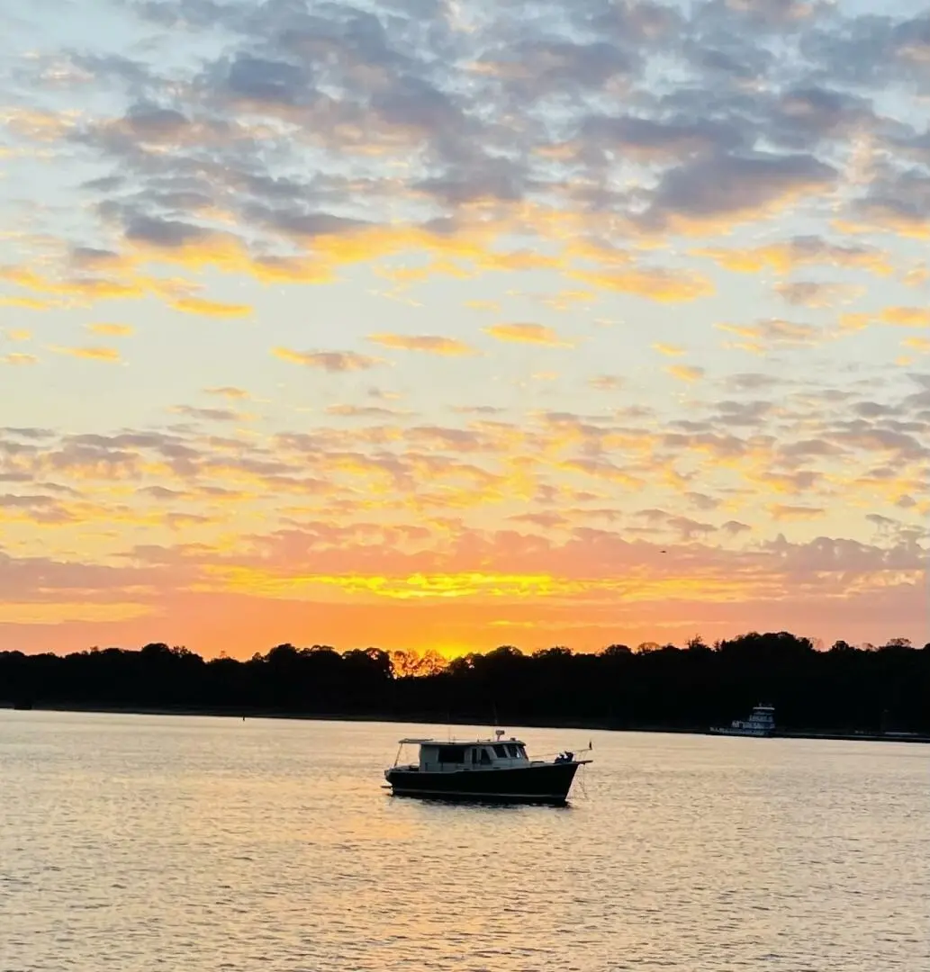 Thumbnail von メインシップ ハードトップ ブルーヘロン