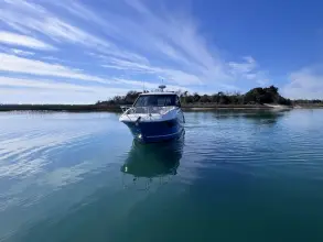 Thumbnail von Sea Ray 320 Sundancer Outboard