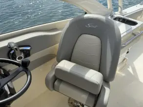 Thumbnail von Scout 240 Dorado