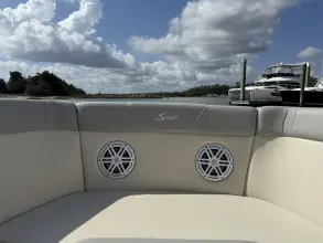 Thumbnail von Scout 240 Dorado