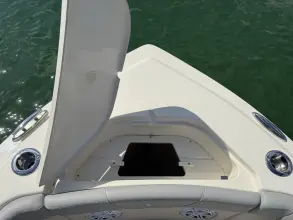 Thumbnail von Scout 240 Dorado