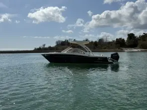 Thumbnail von Scout 240 Dorado