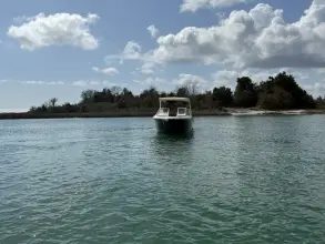 Thumbnail von Scout 240 Dorado