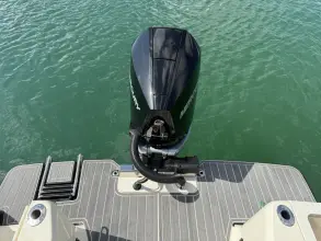 Thumbnail von Scout 240 Dorado