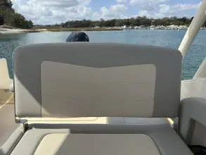 Thumbnail von Scout 240 Dorado