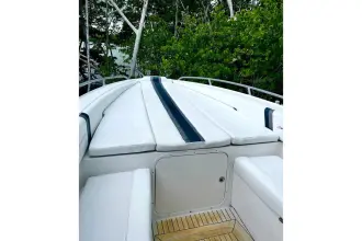 Thumbnail von Midnight Express 39s Open