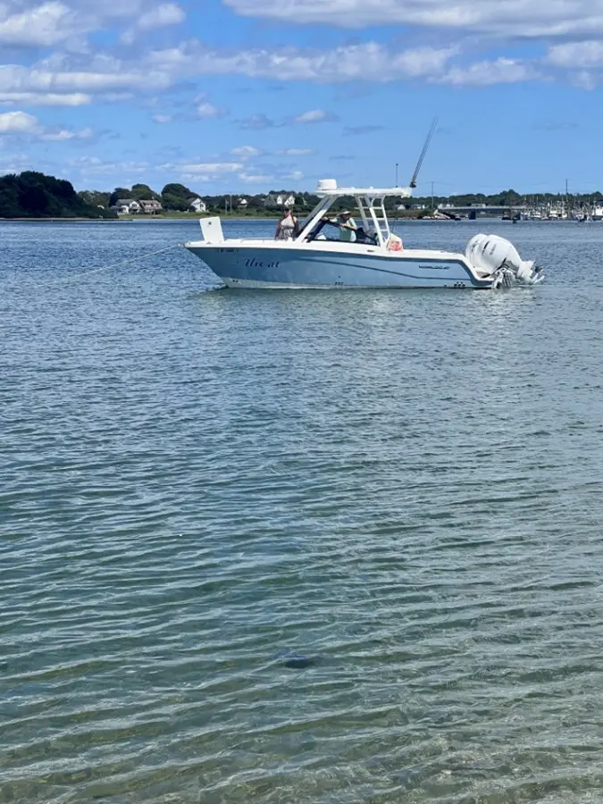 Thumbnail von World Cat 260 CC ALICAT