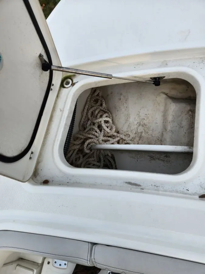 Thumbnail von World Cat 260 CC ALICAT