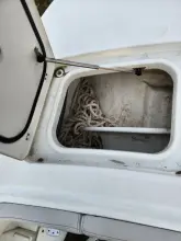 Thumbnail von World Cat 260 CC ALICAT