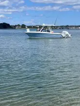 Thumbnail von World Cat 260 CC ALICAT