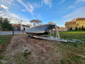 Thumbnail von World Cat 260 CC ALICAT