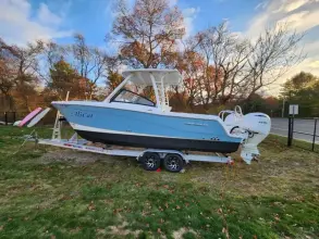 Thumbnail von World Cat 260 CC ALICAT