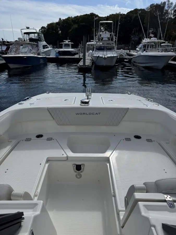 Thumbnail von World Cat 260 CC ALICAT