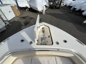 Thumbnail von Scout 280 Sportfish