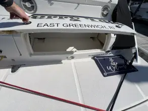 Thumbnail von Sea Ray 350 Sundancer