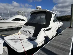 Thumbnail von Sea Ray 350 Sundancer