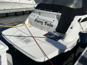 Thumbnail von Sea Ray 350 Sundancer