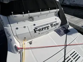 Thumbnail von Sea Ray 350 Sundancer