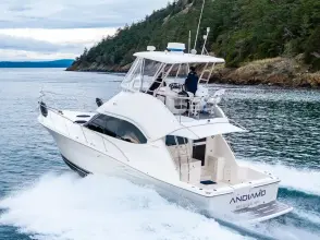 Thumbnail von Riviera 4400 Sport Yacht