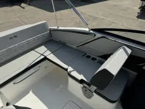 Thumbnail von Sea Ray SPX 210 Outboard