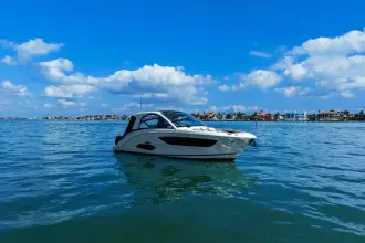 Thumbnail von Sea Ray 370 Sundancer Outboard