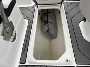 Thumbnail von Sea Ray SPX 210 Außenborder