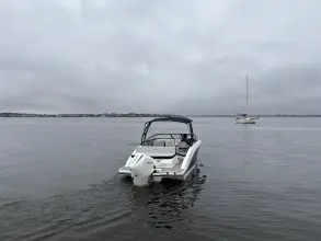 Thumbnail von Sea Ray SPX 210 Außenborder